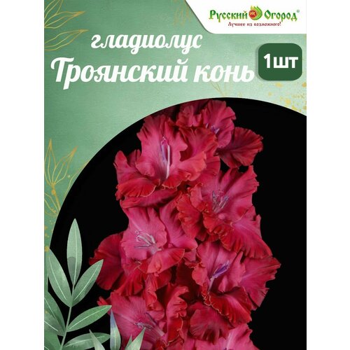 ���������� ��������� 