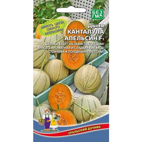 ���������� ���� ��������� �������� F1, 1 �����, ������ 6��, ��������� ������