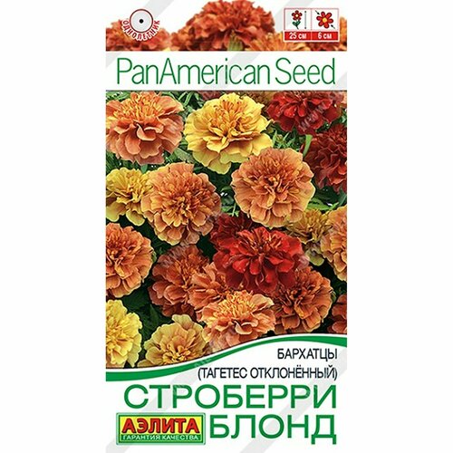 ���������� ������ �������� ��������� ����� ����������, (������) 5�� PanAmerican