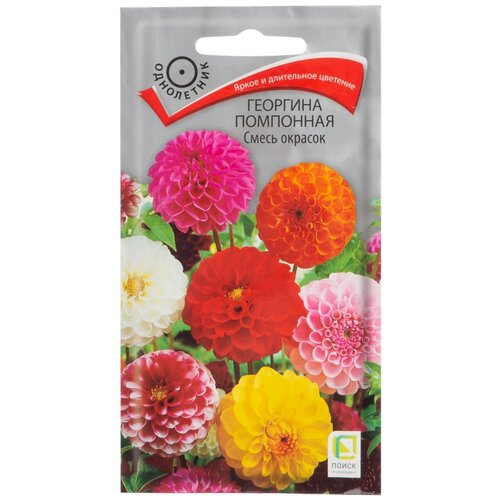 ���������� ������ �������� ����� �������� ����� ������, 0.3�