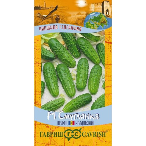 ���������� ������ ������ ��������� F1 10�� ������������������ ������ (������)