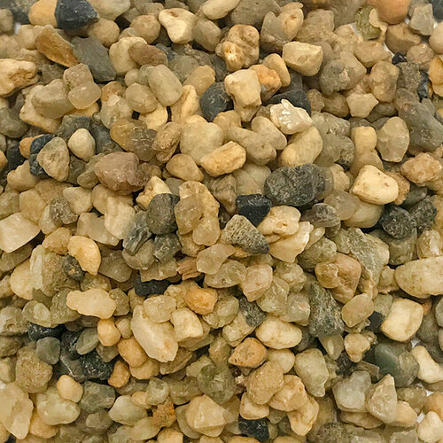 ���������� ����������� ����� ��� ��������, ����������� � ��������, Zoo One, ��������� ��������, 