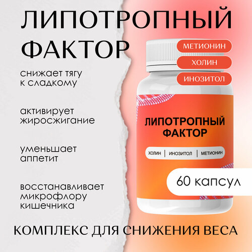 ���������� ����������� ������ ���������