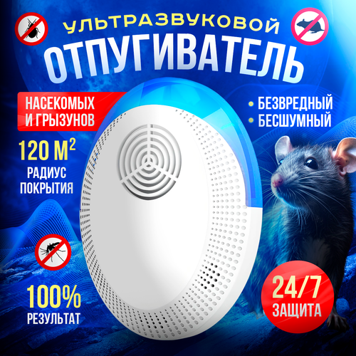 ���������� ������������ ����� � ���� ��������������, ������������ ���������