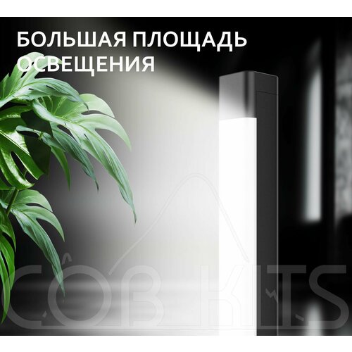 ���������� ���������� ������������ ��� ��������� ������������� ��������