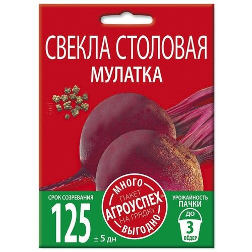 ���������� ������ �������, ������ ��������� �����-������� 6�