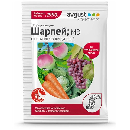 ���������� Avgust �������� �� ��������� ���������� ������, 1.5 ��, 10 �