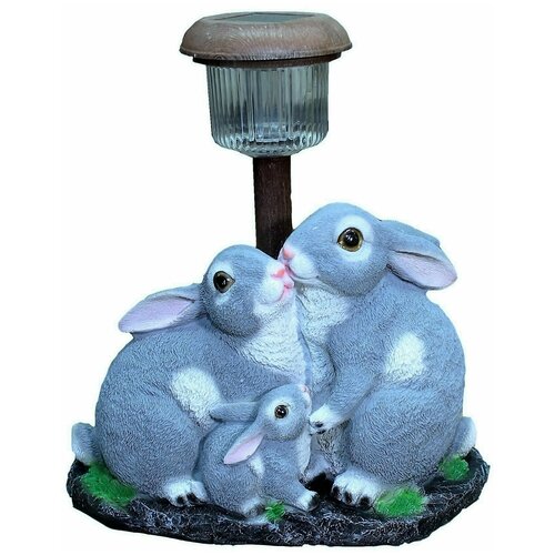 ���������� ������� ������� ����� � ������ ������� ,21 ��