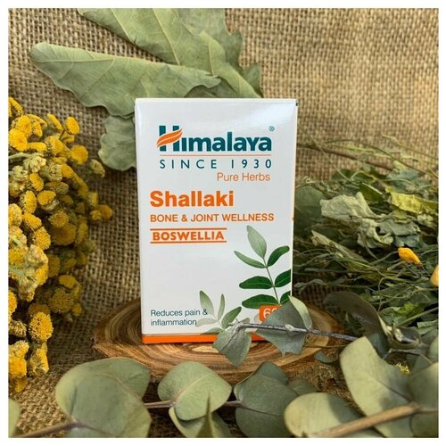 Shallaki (, ) Himalaya ()      ,    , 60 .   , -, 