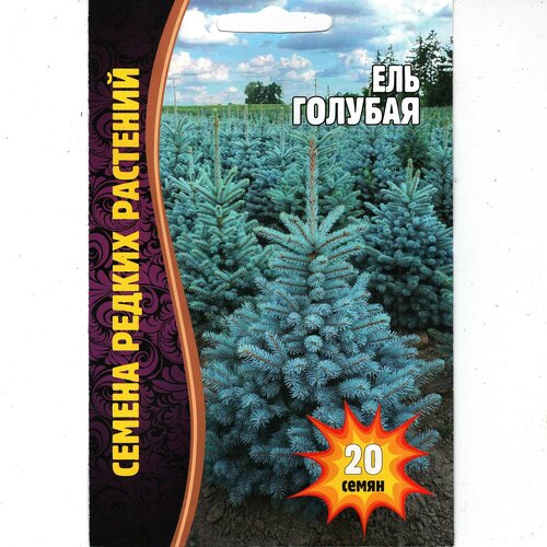 ���������� ��� �������, ������ ������� ( 1 ��: 20 ����� )