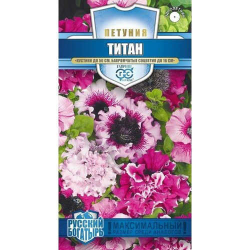 ���������� ������ ������� ����� ����������� 7�� ��� ����� 7�� (������) ������� ��������