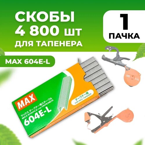    MAX 604 E-L 4800 /          , -, 