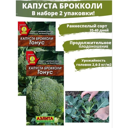 ���������� ������ ������ 