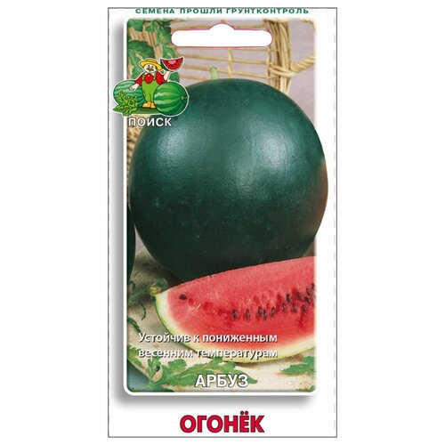 ���������� ������ ����� ������ 15�� ��� ����, ����, �������, ������� / ������� � �������� ��������