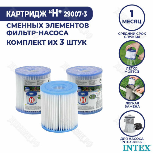    H Intex (- 3 .) 29007-3   , -, 