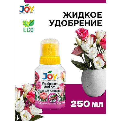     JOY  ,    , 250