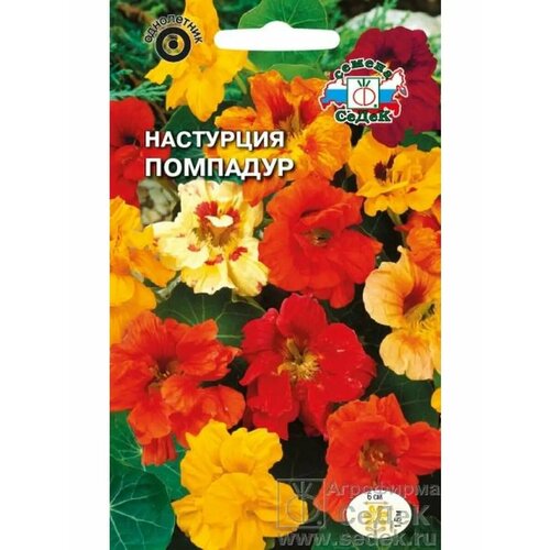 ���������� ��������� 