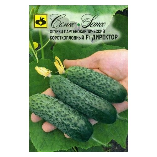 ���������� ������ ������ �������� F1 6�� ������������������ (����time)