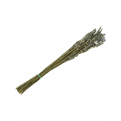 ���������� �������� ����� ���� ����� 