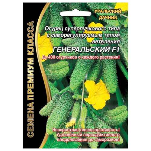 ���������� ������ ��������� ������ ������� ������ ������������ F1 5 ��.