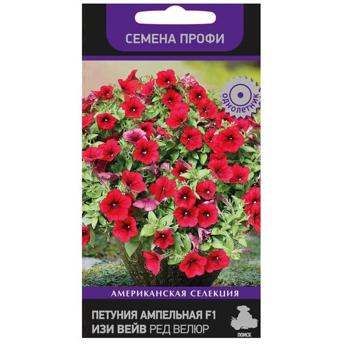 ���������� ������ ����� ������� ��������� ��� ���� ��� ����� F1 5 ��.