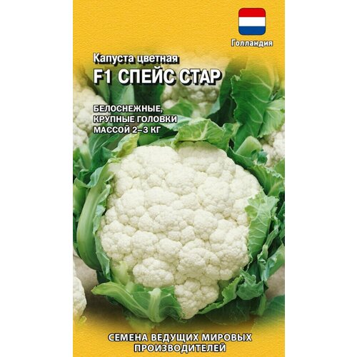 ���������� ������ ������� ������� ����� ���� F1, 10��, ������, ������� ������� �������������