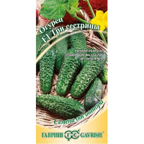 ���������� ������ ������ ��� �������� F1 10�� ������������������ ������ (������) �����