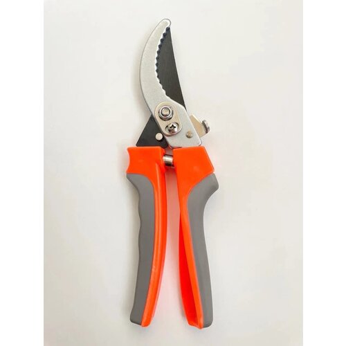 ���������� ������� ������� ����������������, ������� ���� �� 25 ��, ��������, �������� ��� �������� � ������