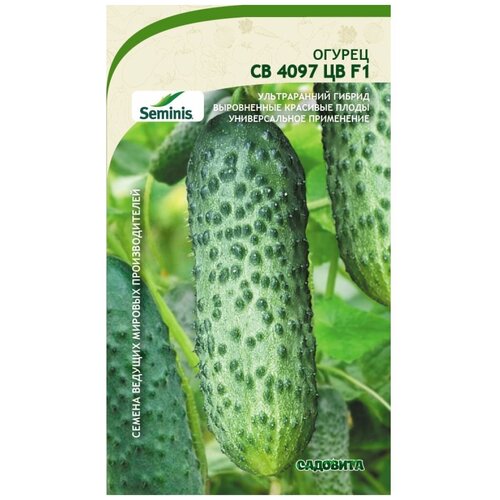 ���������� ������ ������ �� 4097 �� F1 5�� �������� (3 ������)