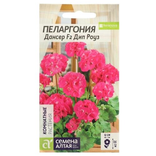 ���������� ������ ������ ���������� 