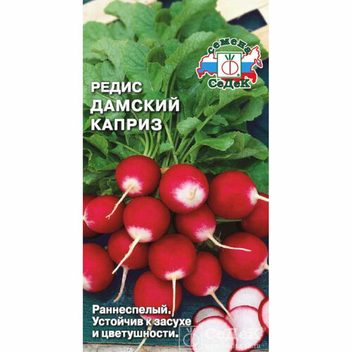 ���������� ������ ����� ������� ������ 2� ������ (�����)