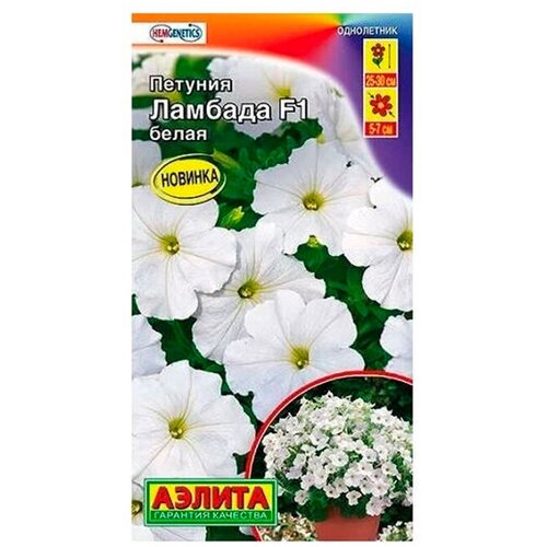 ���������� ������. ������� �������������� 