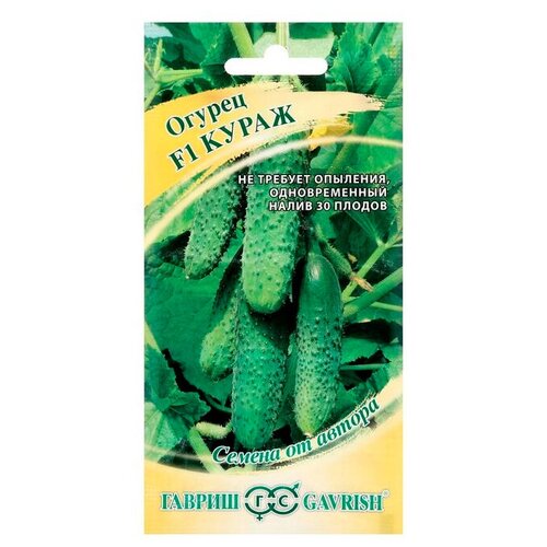 ���������� ������ ������ ������ �� ������ ������ ����� F1 10 ��., 10 ��.