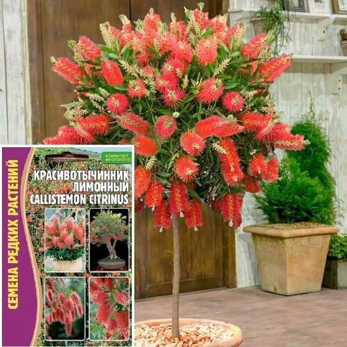 ���������� ��������� �����������: ��������������� �������� 0,1�