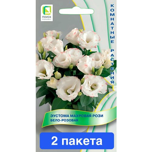 ���������� ����� ������� �������� ���� ����-������� 2 ������