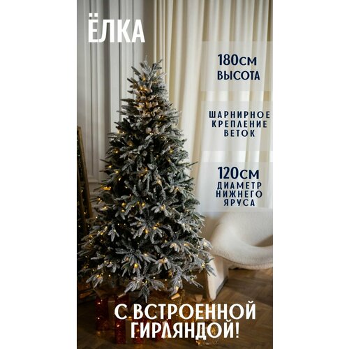 ���������� ������������� ���� ����������� � ���������� ���������, �����+���, 180��