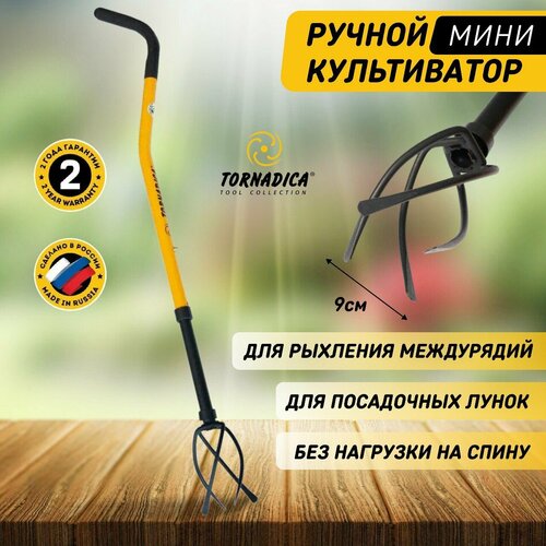 ���������� ������ ���� ����������� ��������� , �������������� ��� ����������� ����� ����� ��������� � ���������� ��������