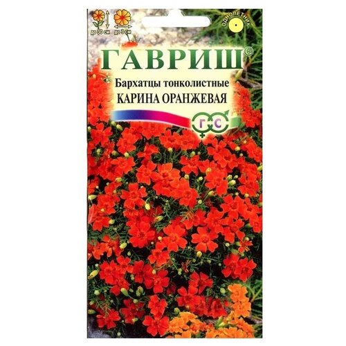 ���������� ������ ������ �������� ������������ (�������) ������ ��������� 0,05 �