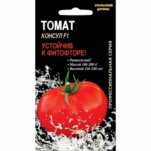 ���������� ������ ����� ������ F1, ������������, �����������, ���� 12��