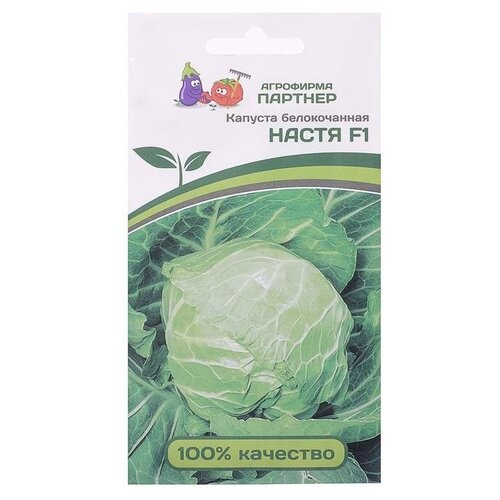 ���������� ������ ������� ������������ 