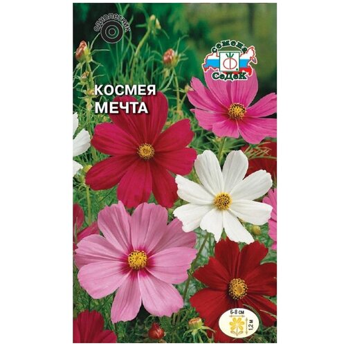 ���������� ������ ����� ������ �����