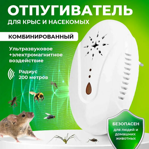 ���������� ������������ ��� �������� � ��������� ��������������, ������������ �����, ������������ ��������, �����