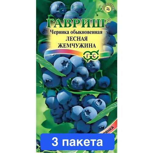 ���������� ������ ������ ������ 