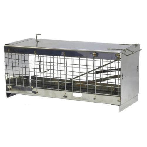 ���������� ���������� ������ ������+�����