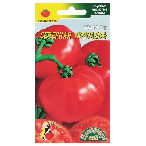 ���������� ������ �������� ��� 