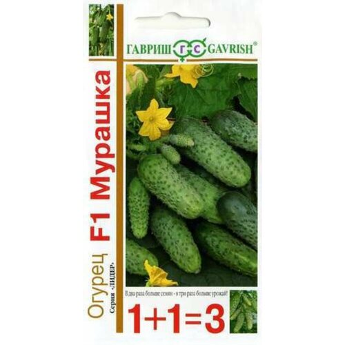 ���������� ������ ������ ������� F1 20�� ������������������ ������ (������) 1+1