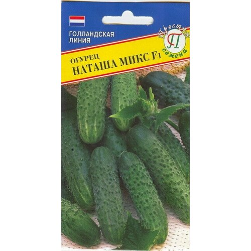 ���������� ������ ������ ���� F1. ������ �������������� ������. ������� ��������������, ��������, ������� ���������. ����� 80 ��. ������������ ����