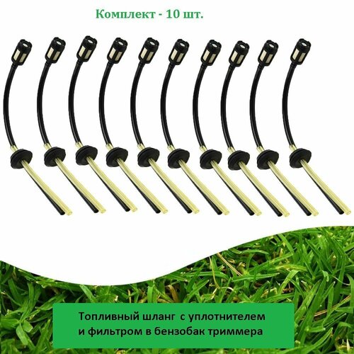 ���������� ��������� ����� (10 ��.) � �������� � ������������ � �������� ��������