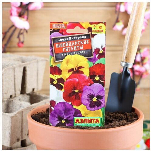 ���������� ������ ������ ����� 