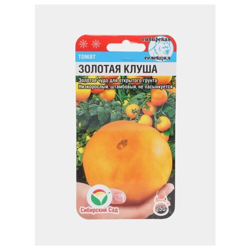 ���������� ������ ����� ������� ����� 20�� ��� (��������� ���)